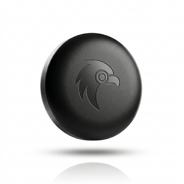 Auto GPS -Standort -Tracker Anti -Theft -Funktion Smart Tag - funktioniert mit der Suche in meiner App - iOS/iPhone Schwarz