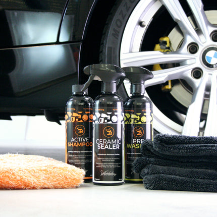 Detailing Combideal Quick Wash Pakket 5-delig voor Eenvoudig Wassen en Sealen met Microvezel Washandschoen en Droogdoek - VCTparts.nl