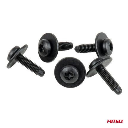 AMiO Torx Schroeven en Ringenset Ø6 mm x 23 mm - 5 Sets - Universele Bevestigingsset voor Auto-onderdelen AMiO 2