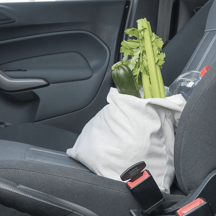 VCTparts Gordel Alarmstopper Clip Universeel – Voorkomt Gordelwaarschuwing – Set van 2 Stuks PAT Europe 10