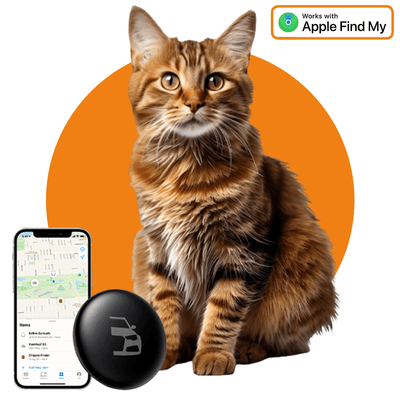 Smart -Tag Bluetooth/GPS -Standort -Tracker -Tracer -Karten und Anti -Theft -Funktion - funktioniert mit meiner App - iOS/iPhone Black